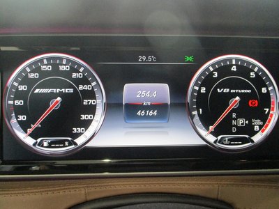 2016 Mercedes-BENZ S-CLASS 缩略图 19