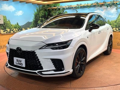 صورة مصغرة 56 لـ 2023 Lexus RX