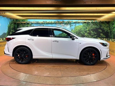 صورة مصغرة 58 لـ 2023 Lexus RX