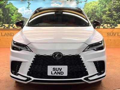 صورة مصغرة 16 لـ 2023 Lexus RX