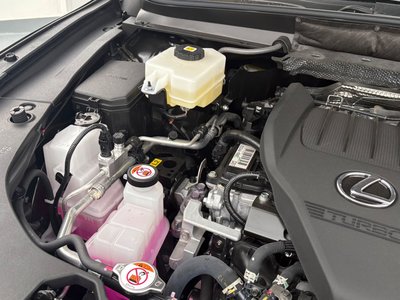 LEXUS RX F SPORT - 10