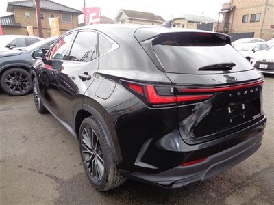 LEXUS NX - 6