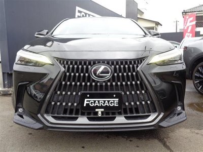 LEXUS NX - 2