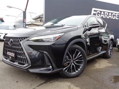 LEXUS NX - 1