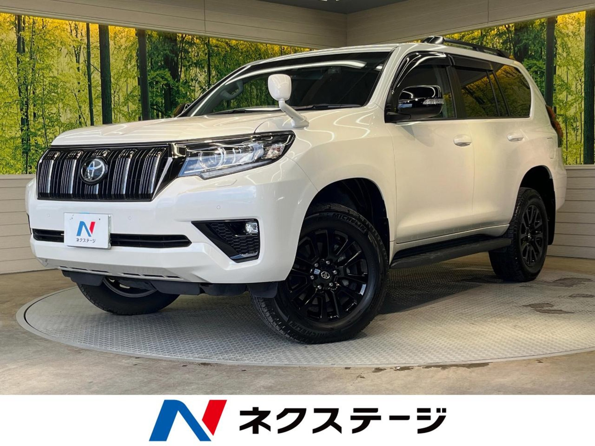 TOYOTA LAND CRUISER PRADO - View 1