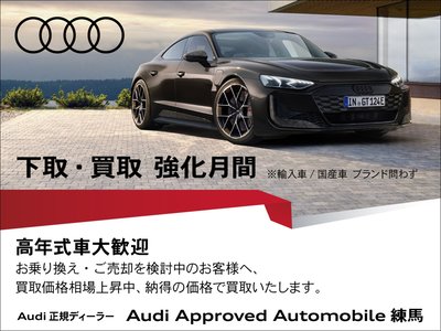 2023 AUDI RS3 SEDAN 照片 6