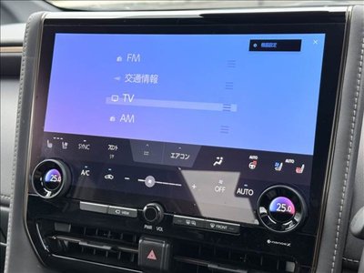 2024 Toyota ALPHARD 照片 3