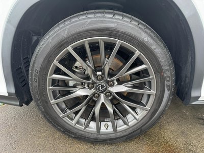 2020 Lexus RX thumbnail 30