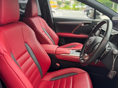 2020 Lexus RX thumbnail 20