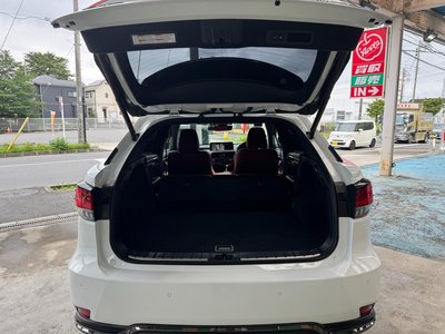2020 Lexus RX thumbnail 14
