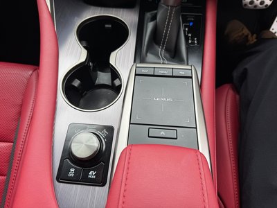 2020 Lexus RX thumbnail 23
