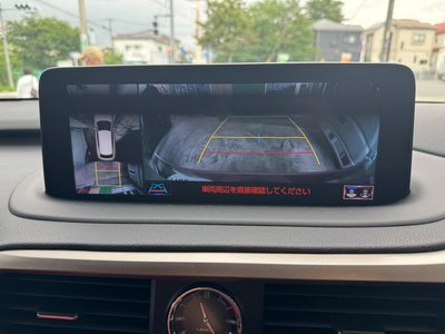 2020 Lexus RX thumbnail 22