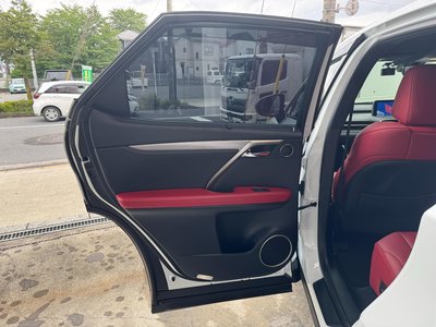 2020 Lexus RX thumbnail 11