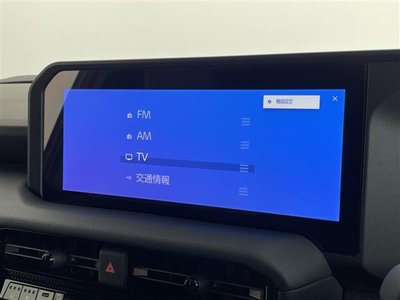 2024 Toyota LAND CRUISER 250 照片 6