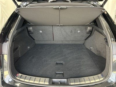 2023 Lexus NX 缩略图 39