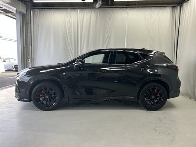 2023 Lexus NX 缩略图 49