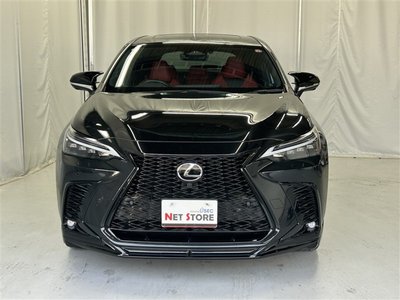 2023 Lexus NX 缩略图 48