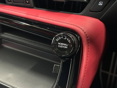 2023 Lexus NX 缩略图 22