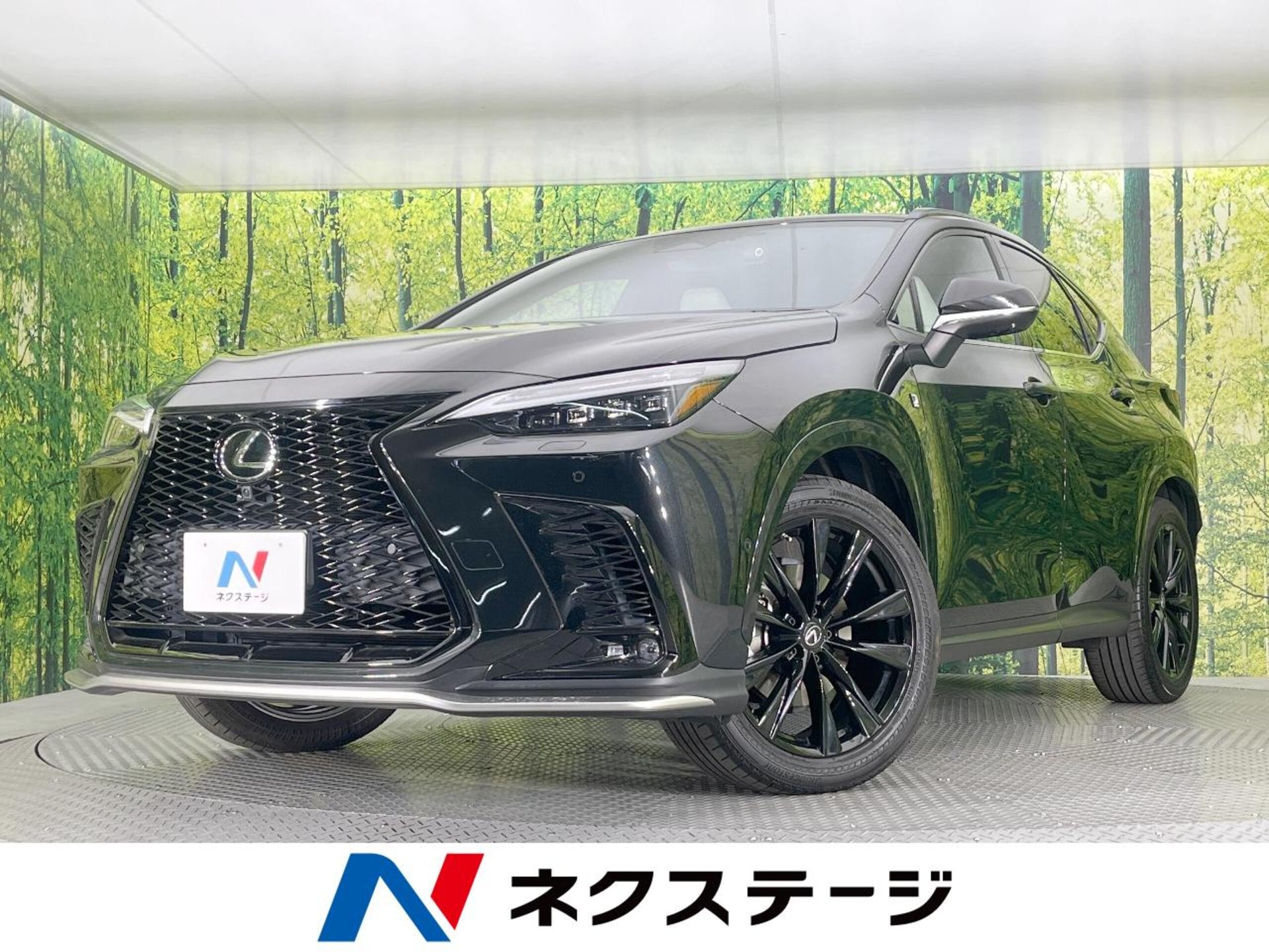 LEXUS NX - View 1