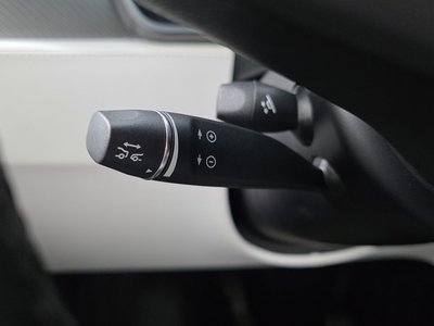 2018 Tesla MODEL X 缩略图 31