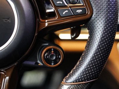 2017 Porsche PANAMERA — миниатюра 74