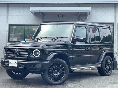 MERCEDES-BENZ G-CLASS - 1