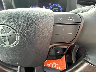 2024 Toyota VELLFIRE 缩略图 32