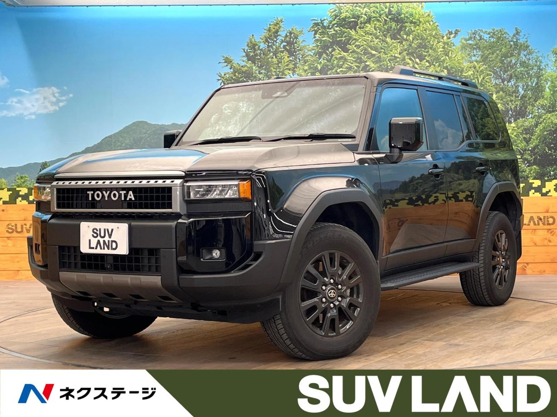 TOYOTA LAND CRUISER 250 - View 1
