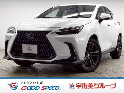 LEXUS NX - 1