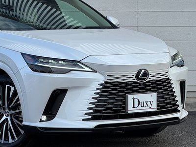 LEXUS RX - 6