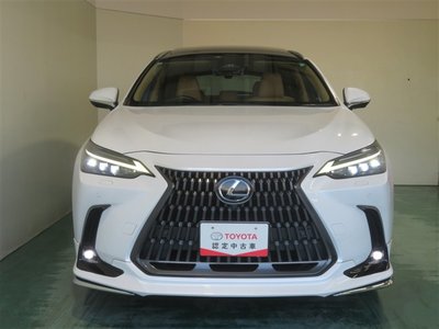 2024 Lexus NX photo 10