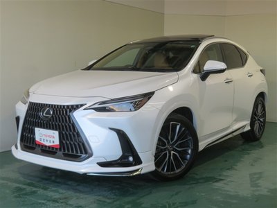 2024 Lexus NX photo 9