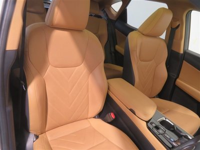 2024 Lexus NX photo 5