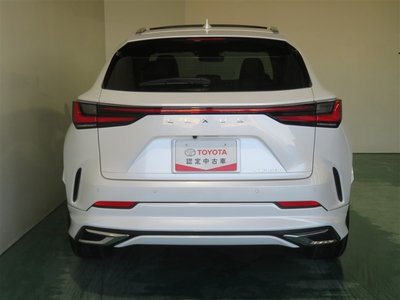 2024 Lexus NX 缩略图 24