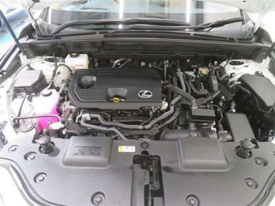2024 Lexus NX 缩略图 22
