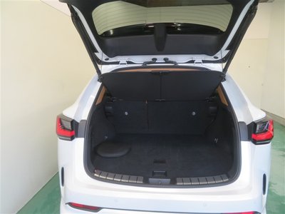 2024 Lexus NX 缩略图 20