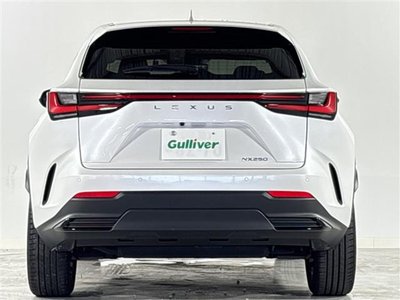 صورة مصغرة 33 لـ 2023 Lexus NX