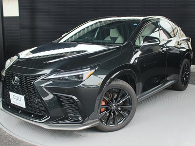 2024 Lexus NX 照片 1