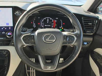 2024 Lexus NX 缩略图 17