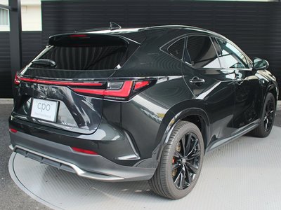 2024 Lexus NX 照片 8