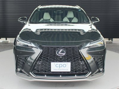 2024 Lexus NX 照片 4