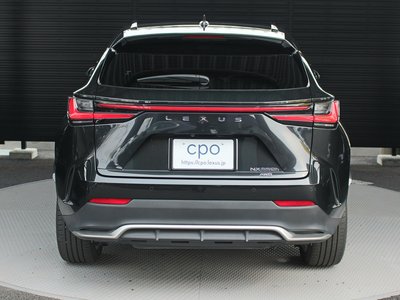 2024 Lexus NX 照片 7