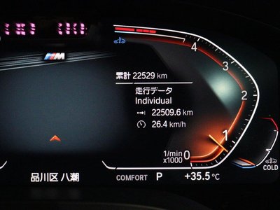 صورة مصغرة 59 لـ 2024 BMW X3