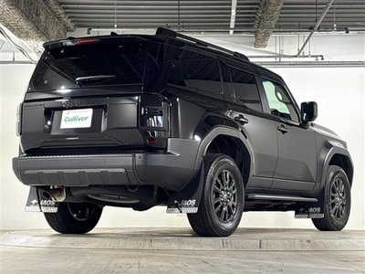 2024 Toyota LAND CRUISER 250 thumbnail 31