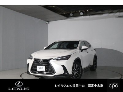 LEXUS NX - 1