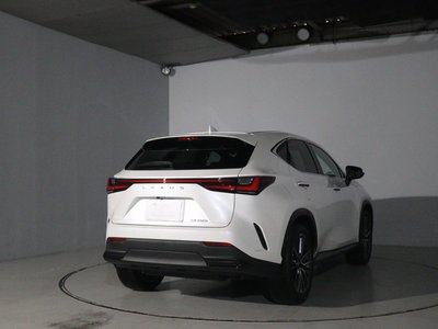 LEXUS NX - 4