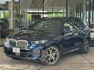 BMW X5 - 1
