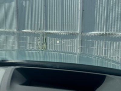 2025 BMW I4 缩略图 29