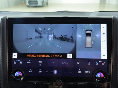 2024 Toyota ALPHARD thumbnail 12