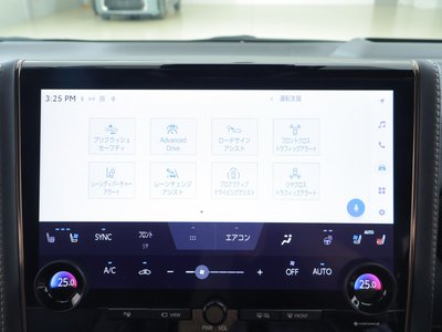 2024 Toyota ALPHARD thumbnail 14